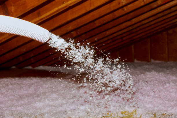 Best Eco-Friendly Insulation in Montverde, FL