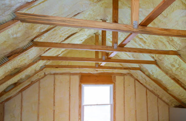Best Cellulose Insulation in Montverde, FL