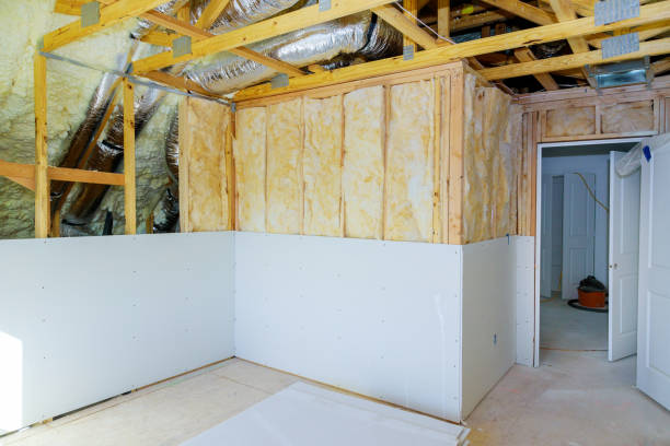 Types of Insulation We Offer in Montverde, FL