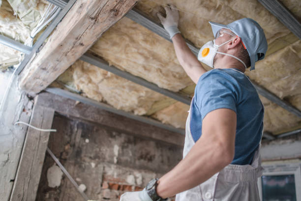 Best Residential Insulation in Montverde, FL