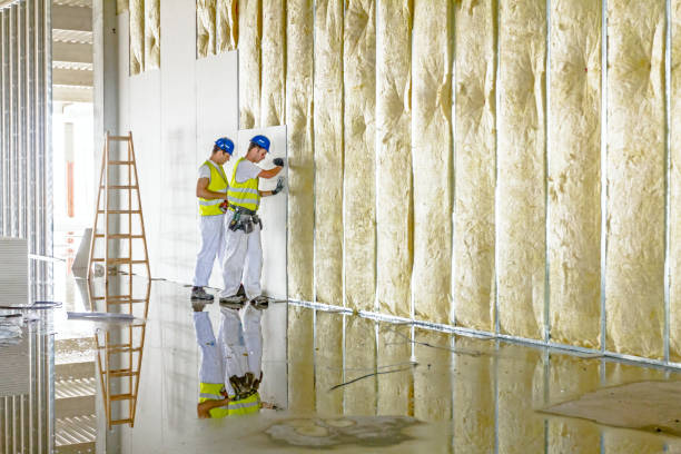 Best Insulation for Specific Applications in Montverde, FL